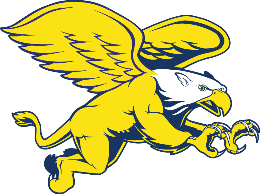 Canisius Golden Griffins 1999-2005 Secondary Logo v2 iron on transfers for fabric